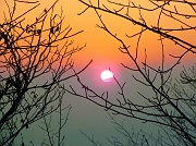 61 ultimi raggi di sole nella nebbia...